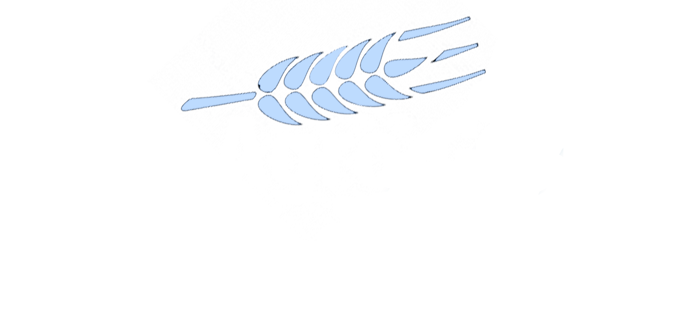 Blue Agro GmbH