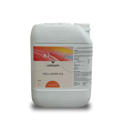 VELLAMIN CA